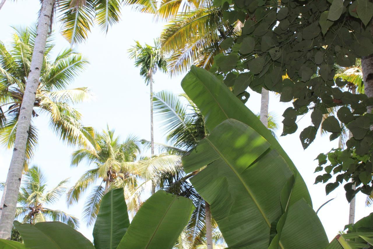 The Exotic Marigold Hotel Varkala Ngoại thất bức ảnh